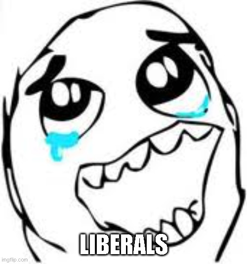 Tears Of Joy Meme | LIBERALS | image tagged in memes,tears of joy | made w/ Imgflip meme maker