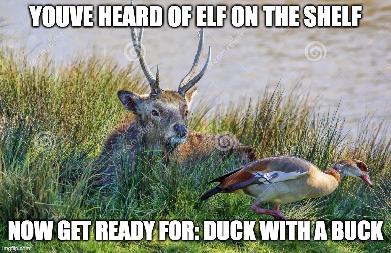 YOUVE HEARD OF ELF ON THE SHELF; NOW GET READY FOR: DUCK WITH A BUCK | made w/ Imgflip meme maker