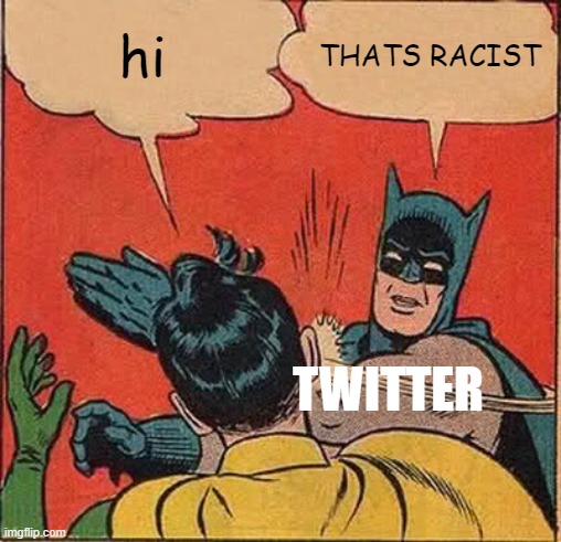 twitter | hi; THATS RACIST; TWITTER | image tagged in memes,batman slapping robin,funny,funny memes,lol so funny | made w/ Imgflip meme maker