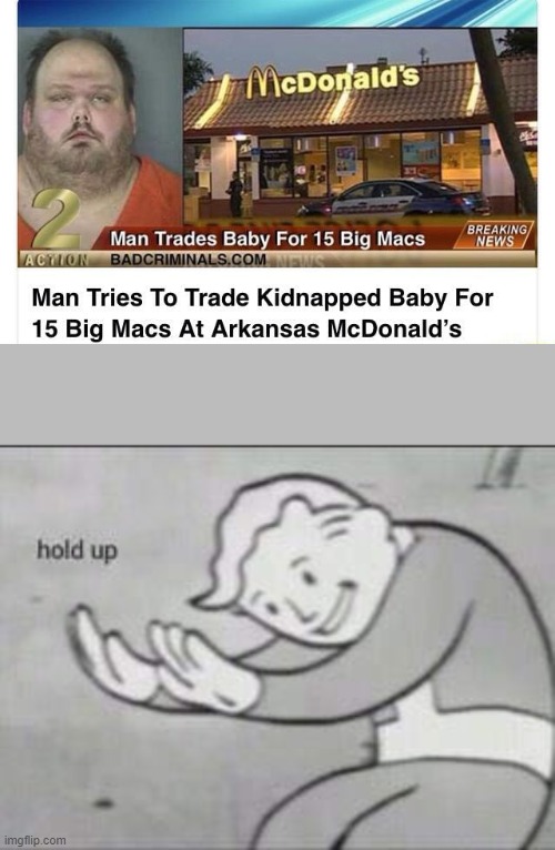 HOLD UP | image tagged in fallout hold up | made w/ Imgflip meme maker