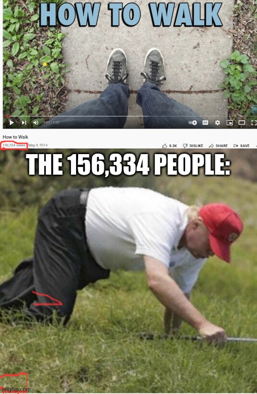 Why do these videos even exist |  THE 156,334 PEOPLE: | image tagged in trump crawling | made w/ Imgflip meme maker