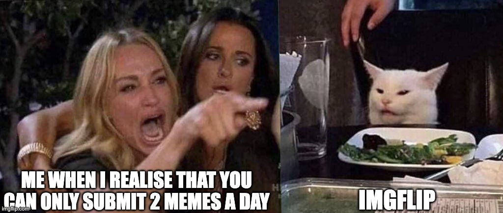 woman yelling at cat | ME WHEN I REALISE THAT YOU CAN ONLY SUBMIT 2 MEMES A DAY; IMGFLIP | image tagged in woman yelling at cat | made w/ Imgflip meme maker