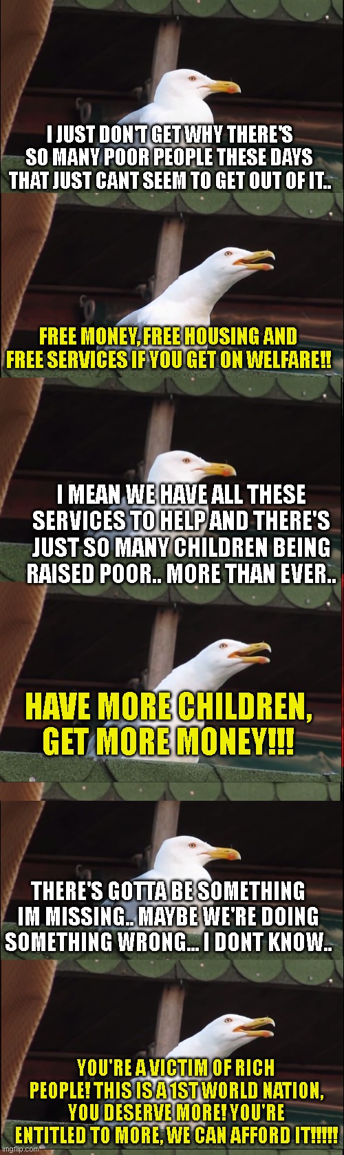 I JUST DON'T GET WHY THERE'S SO MANY POOR PEOPLE THESE DAYS THAT JUST CANT SEEM TO GET OUT OF IT.. FREE MONEY, FREE HOUSING AND FREE SERVICES IF YOU GET ON WELFARE!! I MEAN WE HAVE ALL THESE SERVICES TO HELP AND THERE'S JUST SO MANY CHILDREN BEING RAISED POOR.. MORE THAN EVER.. HAVE MORE CHILDREN, GET MORE MONEY!!! THERE'S GOTTA BE SOMETHING IM MISSING.. MAYBE WE'RE DOING SOMETHING WRONG... I DONT KNOW.. YOU'RE A VICTIM OF RICH PEOPLE! THIS IS A 1ST WORLD NATION, YOU DESERVE MORE! YOU'RE ENTITLED TO MORE, WE CAN AFFORD IT!!!!! | image tagged in memes,inhaling seagull | made w/ Imgflip meme maker