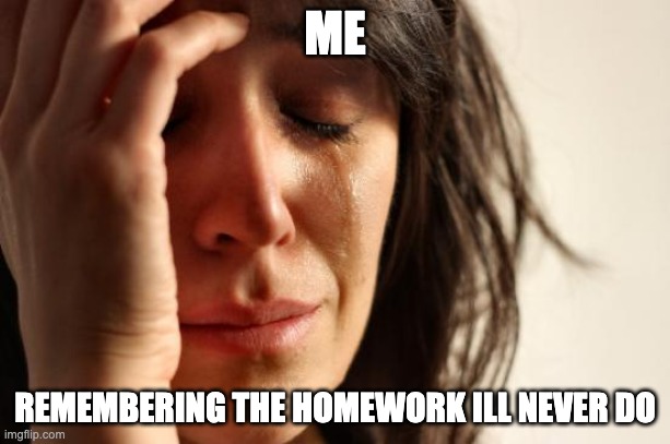 homework is sad | ME; REMEMBERING THE HOMEWORK ILL NEVER DO | image tagged in memes,first world problems | made w/ Imgflip meme maker