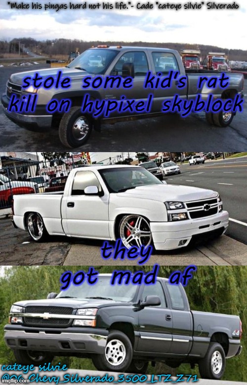 HOES MAD | stole some kid's rat kill on hypixel skyblock; they got mad af | image tagged in cateye silvie's temp by cateye silvie | made w/ Imgflip meme maker