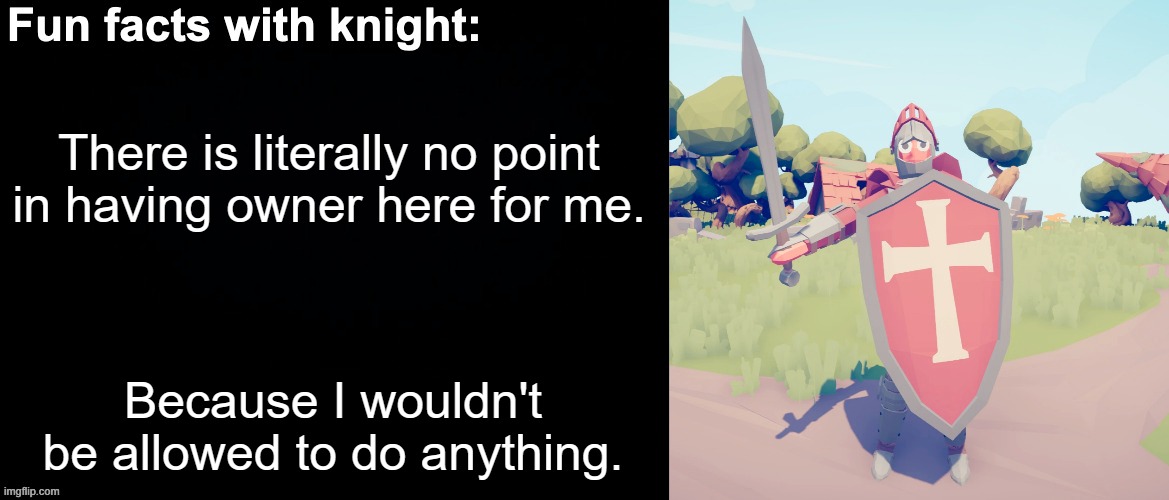 Owner facts | There is literally no point in having owner here for me. Because I wouldn't be allowed to do anything. | image tagged in fun facts with knight | made w/ Imgflip meme maker