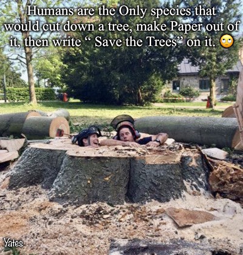 Making paper from trees | Humans are the Only species that would cut down a tree, make Paper out of it, then write “ Save the Trees” on it. 🙄; Yates | image tagged in chopped tree | made w/ Imgflip meme maker