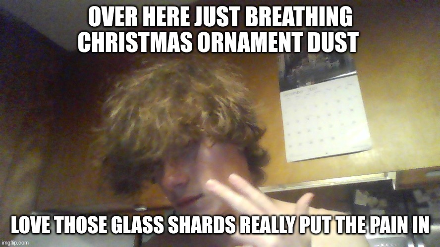ah yes my hands bleeding around christmas time now ik why i hate christmas again | OVER HERE JUST BREATHING CHRISTMAS ORNAMENT DUST; LOVE THOSE GLASS SHARDS REALLY PUT THE PAIN IN | made w/ Imgflip meme maker