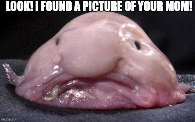 Blobfish | LOOK! I FOUND A PICTURE OF YOUR MOM! | made w/ Imgflip meme maker