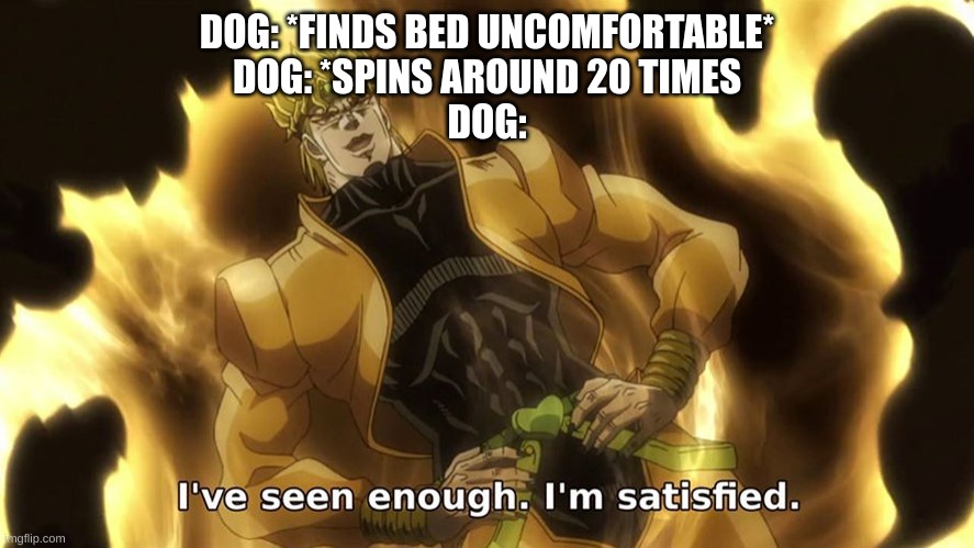 dio i have seen enough im satisfied | DOG: *FINDS BED UNCOMFORTABLE*
DOG: *SPINS AROUND 20 TIMES
DOG: | image tagged in dio i have seen enough im satisfied | made w/ Imgflip meme maker