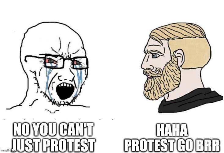 How tf do I download my thing | HAHA PROTEST GO BRR; NO YOU CAN'T JUST PROTEST | image tagged in soyboy vs yes chad | made w/ Imgflip meme maker