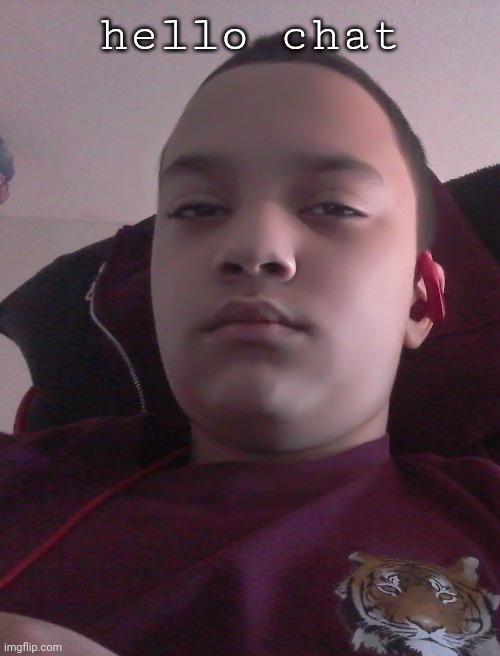 *is extremely ugly* | hello chat | made w/ Imgflip meme maker