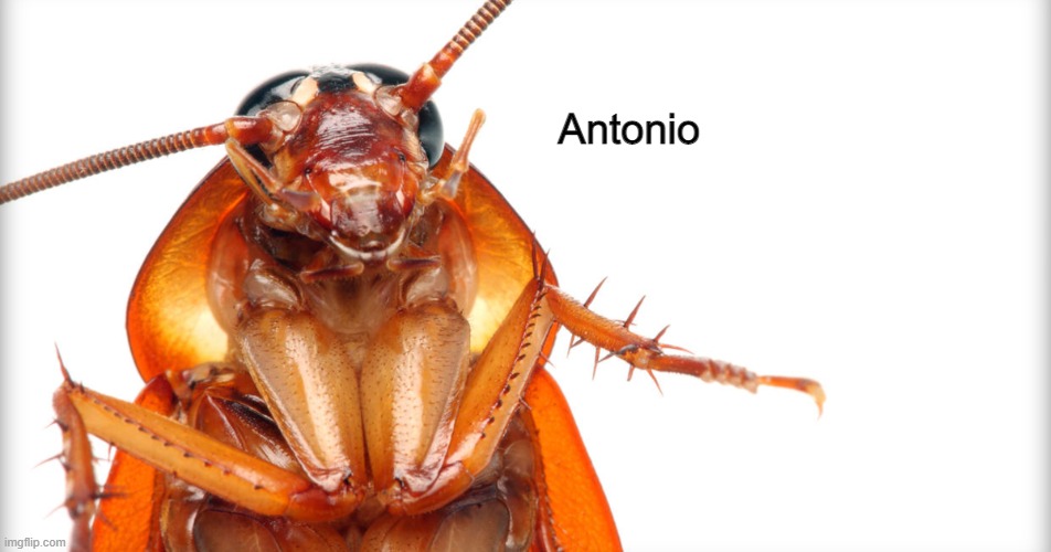 Antonio | made w/ Imgflip meme maker