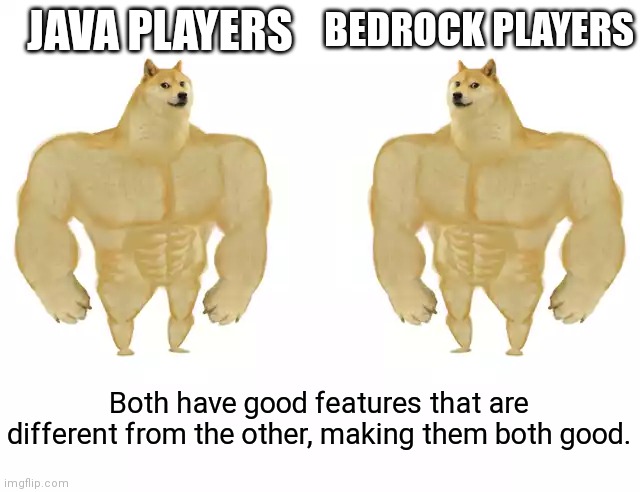 Facts | JAVA PLAYERS; BEDROCK PLAYERS; Both have good features that are different from the other, making them both good. | image tagged in buff doge vs buff doge,minecraft | made w/ Imgflip meme maker