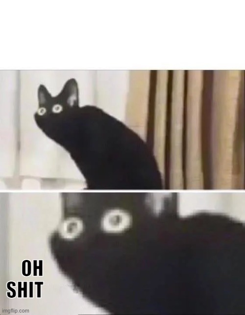 Oh No Black Cat | OH SHIT | image tagged in oh no black cat | made w/ Imgflip meme maker