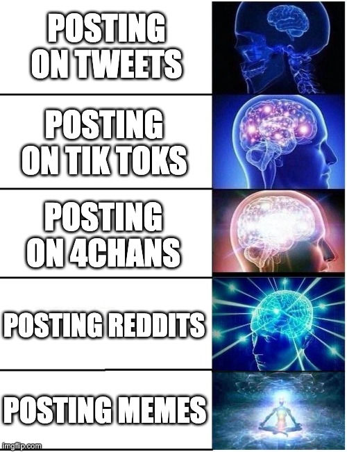 Expanding Brain 5 Panel | POSTING ON TWEETS; POSTING ON TIK TOKS; POSTING ON 4CHANS; POSTING REDDITS; POSTING MEMES | image tagged in expanding brain 5 panel | made w/ Imgflip meme maker