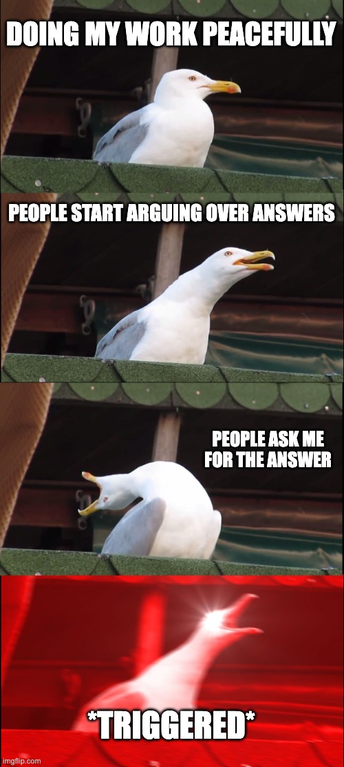 Inhaling Seagull | DOING MY WORK PEACEFULLY; PEOPLE START ARGUING OVER ANSWERS; PEOPLE ASK ME FOR THE ANSWER; *TRIGGERED* | image tagged in memes,inhaling seagull | made w/ Imgflip meme maker