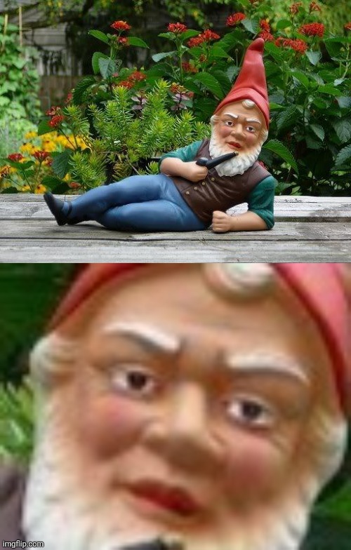image tagged in thief gnome | made w/ Imgflip meme maker