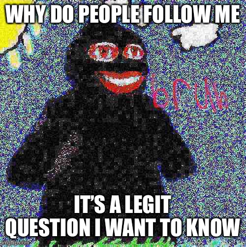 Funni man bruh | WHY DO PEOPLE FOLLOW ME; IT’S A LEGIT QUESTION I WANT TO KNOW | image tagged in funni man bruh | made w/ Imgflip meme maker