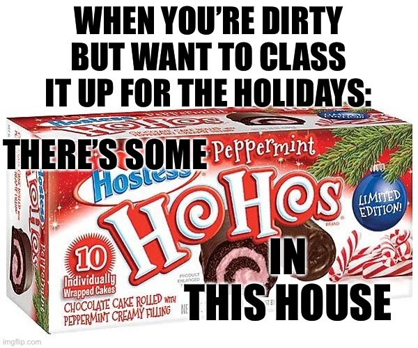 Holiday Funny | WHEN YOU’RE DIRTY BUT WANT TO CLASS IT UP FOR THE HOLIDAYS:; THERE’S SOME; IN THIS HOUSE | image tagged in funny | made w/ Imgflip meme maker