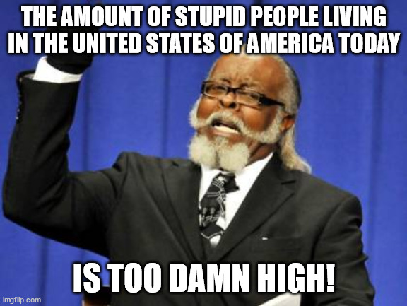 There are way too many stupid people living in the U.S.A.. Please make it stop! | THE AMOUNT OF STUPID PEOPLE LIVING IN THE UNITED STATES OF AMERICA TODAY; IS TOO DAMN HIGH! | image tagged in memes,too damn high | made w/ Imgflip meme maker
