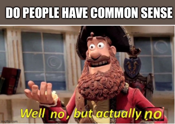 Common sense is uncommon | DO PEOPLE HAVE COMMON SENSE | image tagged in well no but actually no,common sense,uncommon,dumb people,dumb | made w/ Imgflip meme maker