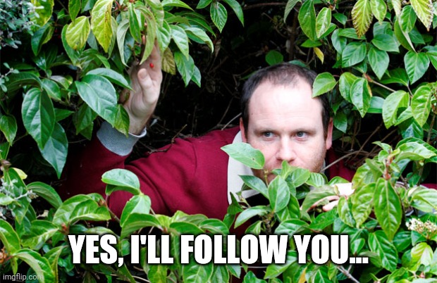 Stalker in Bushes | YES, I'LL FOLLOW YOU... | image tagged in stalker in bushes | made w/ Imgflip meme maker
