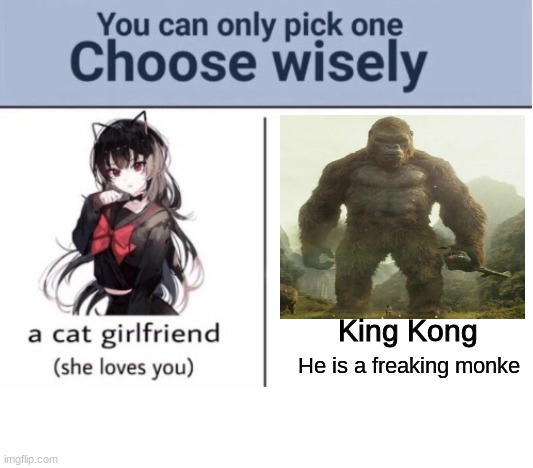 monke | King Kong He is a freaking monke | image tagged in choose wisely,memes,monke | made w/ Imgflip meme maker