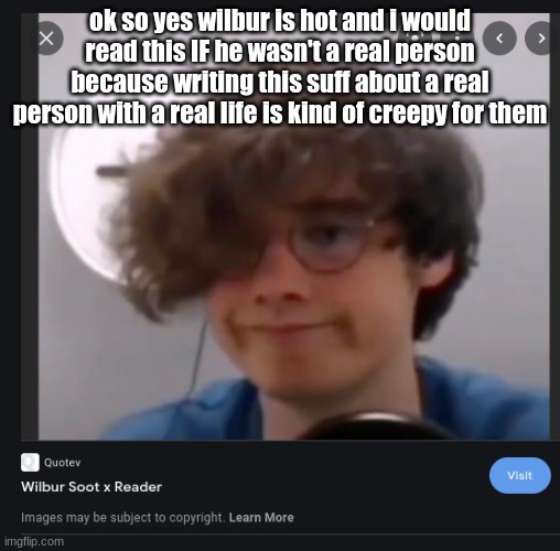 ok so yes wilbur is hot and i would read this IF he wasn't a real person because writing this suff about a real person with a real life is kind of creepy for them | made w/ Imgflip meme maker