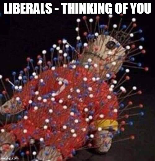 Voodoo Doll | LIBERALS - THINKING OF YOU | image tagged in voodoo doll | made w/ Imgflip meme maker