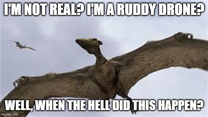 Pterodactyls | I'M NOT REAL? I'M A RUDDY DRONE? WELL, WHEN THE HELL DID THIS HAPPEN? | image tagged in pterodactyls | made w/ Imgflip meme maker