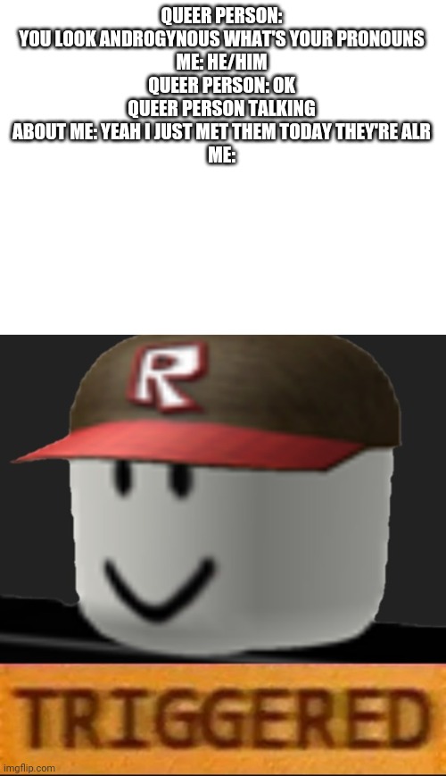 QUEER PERSON: YOU LOOK ANDROGYNOUS WHAT'S YOUR PRONOUNS
ME: HE/HIM
QUEER PERSON: OK
QUEER PERSON TALKING ABOUT ME: YEAH I JUST MET THEM TODAY THEY'RE ALR
ME: | image tagged in blank white template,roblox triggered | made w/ Imgflip meme maker