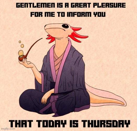 It’s Thursday axolotl | image tagged in it s thursday axolotl | made w/ Imgflip meme maker