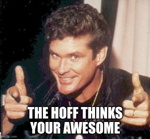 The Hoff thinks your awesome | THE HOFF THINKS YOUR AWESOME | image tagged in the hoff thinks your awesome | made w/ Imgflip meme maker