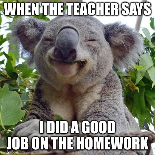 Happy :] | WHEN THE TEACHER SAYS; I DID A GOOD JOB ON THE HOMEWORK | image tagged in smiling koala | made w/ Imgflip meme maker