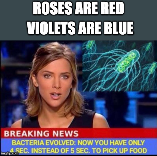 4 second rule bois | ROSES ARE RED; VIOLETS ARE BLUE | image tagged in funny,breaking news,news,memes,bacteria,food | made w/ Imgflip meme maker