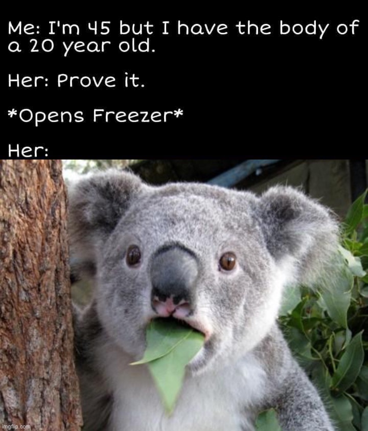 image tagged in body of a 20-year-old,memes,surprised koala | made w/ Imgflip meme maker