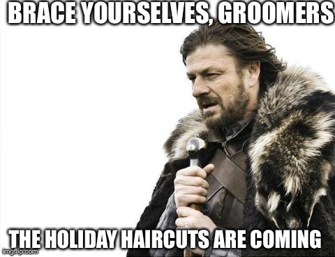Brace Yourselves X is Coming Meme | BRACE YOURSELVES, GROOMERS THE HOLIDAY HAIRCUTS ARE COMING | image tagged in memes,brace yourselves x is coming | made w/ Imgflip meme maker