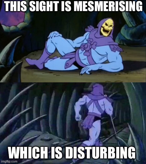 Skeletor is disturbing on many levels | THIS SIGHT IS MESMERISING WHICH IS DISTURBING | image tagged in skeletor disturbing facts,disturbing,mesmerising | made w/ Imgflip meme maker