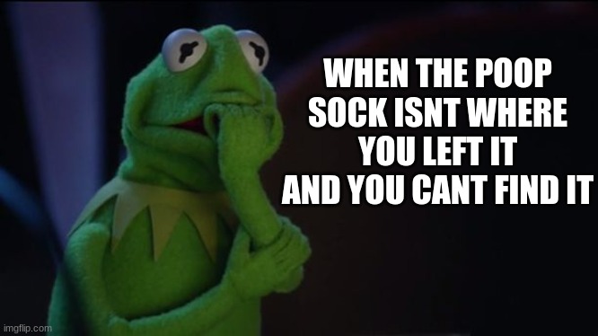 oh lawd- | WHEN THE POOP SOCK ISNT WHERE YOU LEFT IT AND YOU CANT FIND IT | image tagged in kermit worried face,worried,poop sock,lost | made w/ Imgflip meme maker