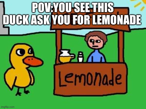 THE DUCK WALKED UP TO THE LEMONADE STAN | POV:YOU SEE THIS DUCK ASK YOU FOR LEMONADE | image tagged in the duck song | made w/ Imgflip meme maker