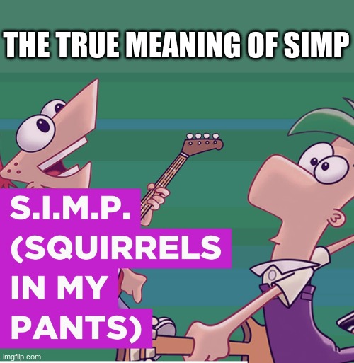 S.I.M.P (squirrels in my pants) | THE TRUE MEANING OF SIMP | image tagged in s i m p squirrels in my pants | made w/ Imgflip meme maker