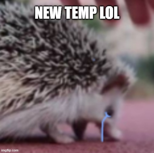 S a d | NEW TEMP LOL | image tagged in s a d | made w/ Imgflip meme maker