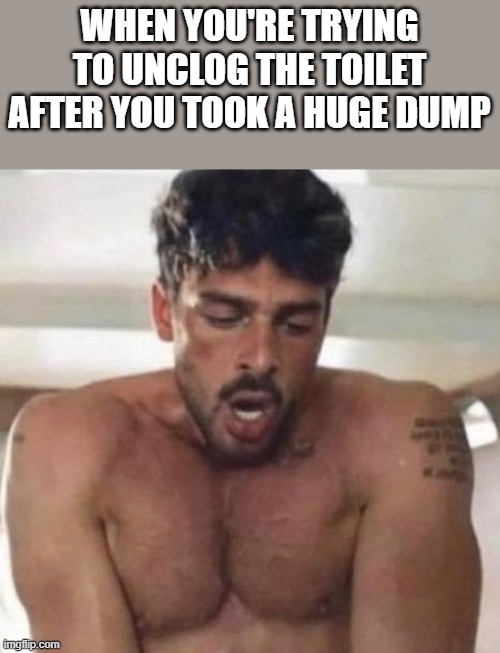 Trying To Unclog Toilet After Huge Dump | WHEN YOU'RE TRYING TO UNCLOG THE TOILET AFTER YOU TOOK A HUGE DUMP | image tagged in toilet,toilet humor,gay,shirtless,funny,memes | made w/ Imgflip meme maker