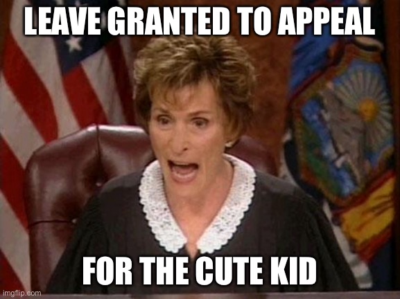 Judge Judy | LEAVE GRANTED TO APPEAL; FOR THE CUTE KID | image tagged in judge judy | made w/ Imgflip meme maker