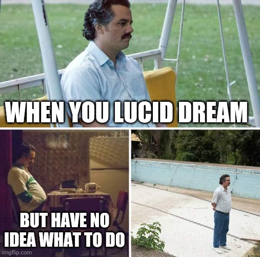 Sad Pablo Escobar | WHEN YOU LUCID DREAM; BUT HAVE NO IDEA WHAT TO DO | image tagged in memes,sad pablo escobar | made w/ Imgflip meme maker