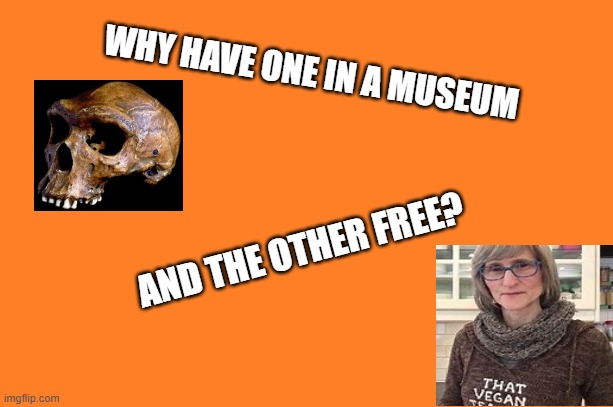 that vegan teacher | WHY HAVE ONE IN A MUSEUM; AND THE OTHER FREE? | image tagged in orange meme | made w/ Imgflip meme maker