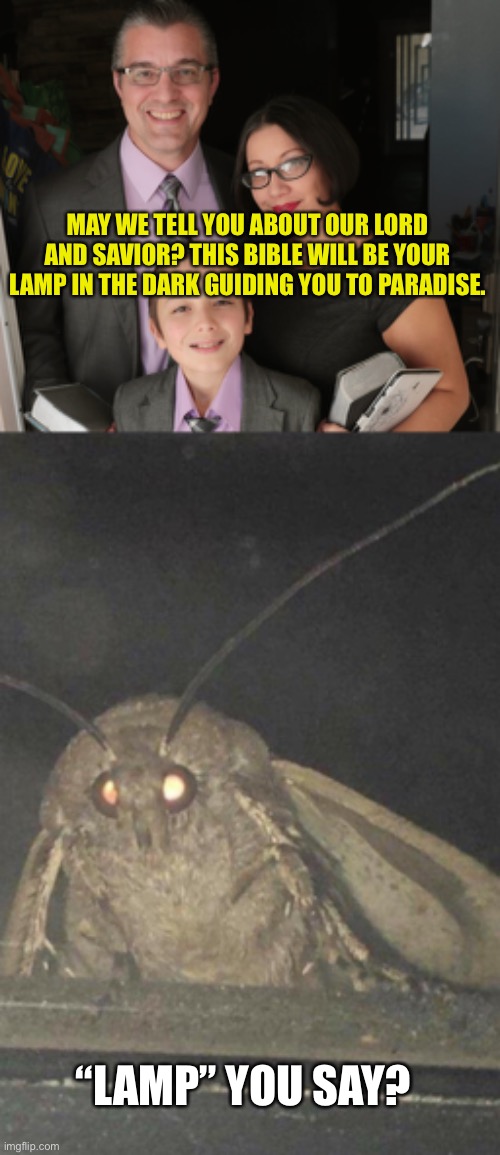 Jehovah’s Lamp | MAY WE TELL YOU ABOUT OUR LORD AND SAVIOR? THIS BIBLE WILL BE YOUR LAMP IN THE DARK GUIDING YOU TO PARADISE. “LAMP” YOU SAY? | image tagged in moth | made w/ Imgflip meme maker