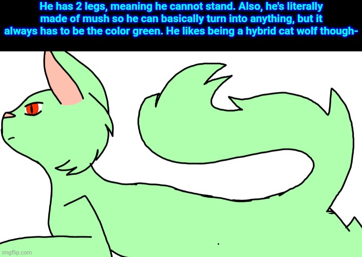 He has 2 legs, meaning he cannot stand. Also, he's literally made of mush so he can basically turn into anything, but it always has to be the color green. He likes being a hybrid cat wolf though- | made w/ Imgflip meme maker