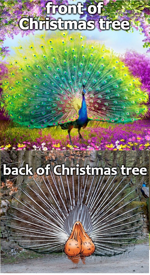 front of Christmas tree; back of Christmas tree | image tagged in vooger | made w/ Imgflip meme maker
